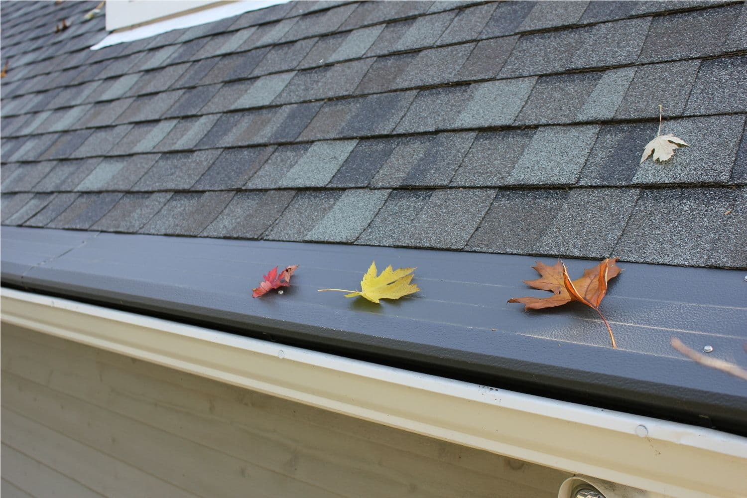 A close-up of a shingled roof with a row of colorful autumn leaves in red, yellow, orange, and brown lying atop a dark gutter guard, evoking a sense of fall.
