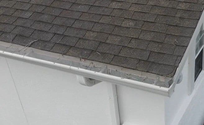 A shingled roof with a mesh-covered gutter on a white house. The gutter is slightly clogged with debris, conveying a need for cleaning.