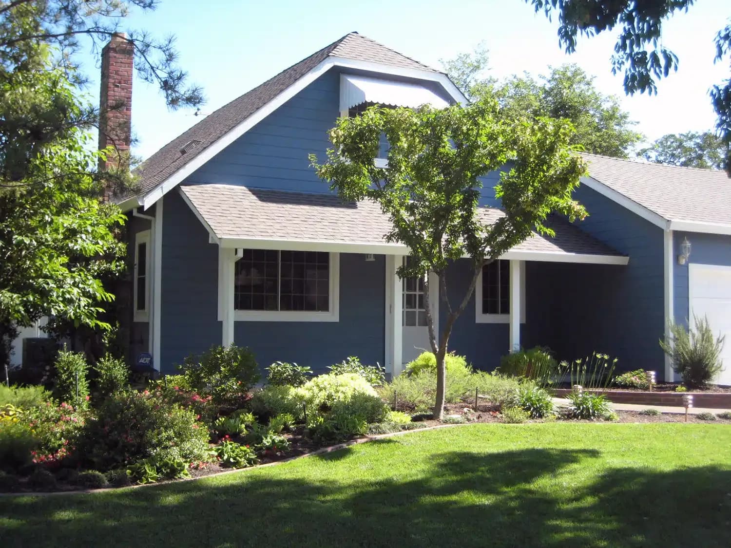 Blue house with tree
